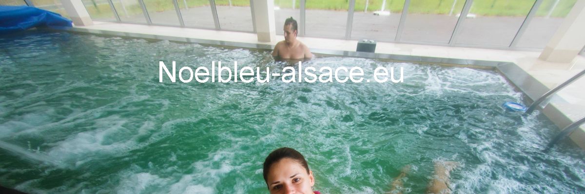 noelbleu-alsace.conception-blog.com